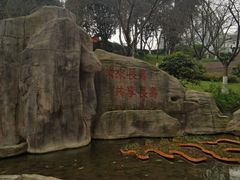 -南山植物园