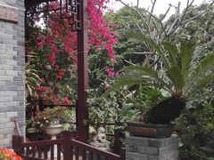 -小洲村
