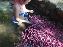 -厦门日月谷温泉渡假村