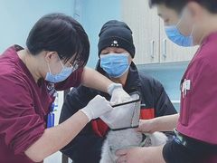-北京观赏动物医院·24小时大型综合·猫专科·异宠专科
