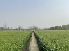 -中国天府农业博览园