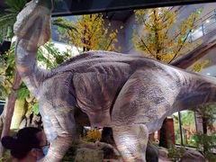 -湖南省地质博物馆