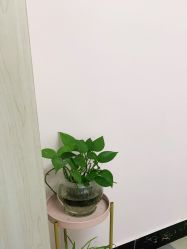-湖南尚美妇幼医院