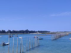 -北海金海湾红树林生态旅游区