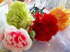 -利顺德大饭店·维多利亚花园(小白楼店)