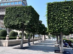 -澳门威尼斯人综合度假区