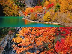 -叠溪松坪沟景区