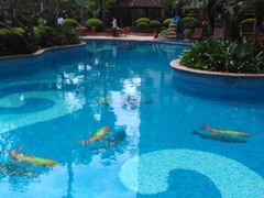 android_upload_pic-惠州康帝国际酒店