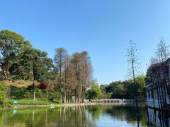 -桃花涧