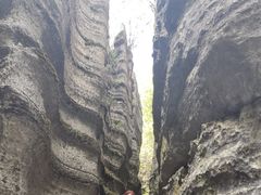 -梭布垭石林景区