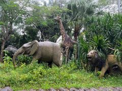 -海南热带野生动植物园