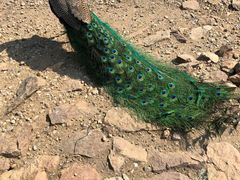 -南京金牛湖风景区