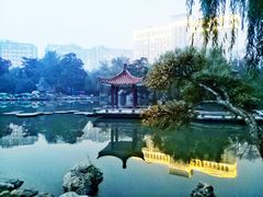 -西苑公园