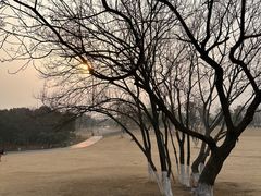 -盘龙城国家考古遗址公园