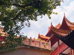 -深圳仙湖植物园