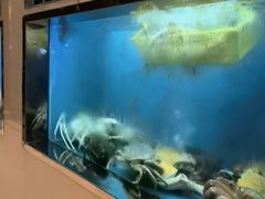 -阳光码头海鲜火锅(玉立路店)