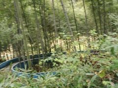 -磐安十八涡风景区