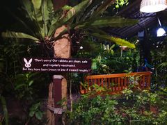 -卷心菜和避孕套餐厅(Pattaya)