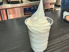 -萨朗刀克冰淇淋雪花凉(植物园店)