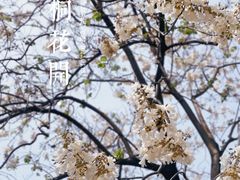 -红星桥(地铁站)