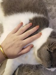 -芊冉•美甲美睫纹绣