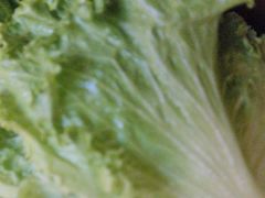 -热火朝天鲜切牛肉火锅(南强街巷店)