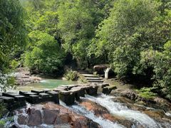 -广州白江湖森林公园