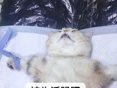 -上海市中医医院(芷江路院区)