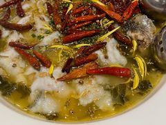 -太二酸菜鱼(石家庄万象城店)