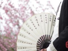 -天适樱花悠乐园