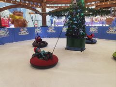 -长沙湘江冰雪世界