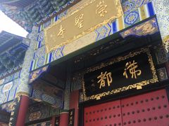 -三塔倒影公园