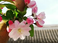 -海棠花溪(元大都城垣遗址公园)