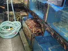 -马王堆海鲜水产市场