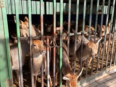 -中华郡文化旅游景区