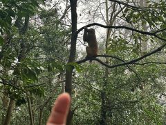 -黔灵山公园