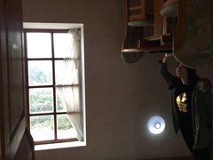 -金山农民画村-枫泾波兰倒置屋