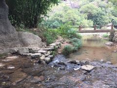 -武夷山风景名胜区-虎啸岩