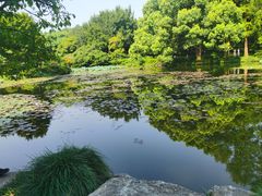 -杭州植物园