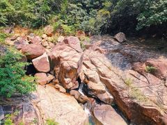 -广州白江湖森林公园