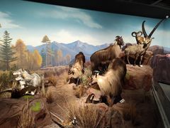 -陕西自然博物馆