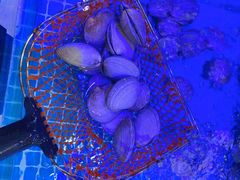 -必点蒸汽海鲜(止锚湾店)