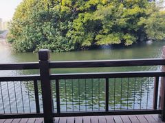 -荔枝公园(福田区)