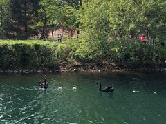 -长白岛森林公园