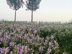 -汉长安城未央宫国家考古遗址公园