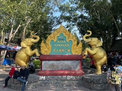 -西双版纳傣族园