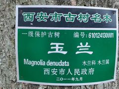 -黑河国家森林公园