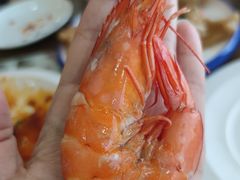 -百味饺子城•海鲜家常菜(秦皇岛店)