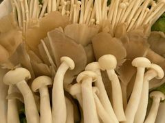 -龙泉人椰子鸡·糟粕醋·地标海南菜(龙昆南店)
