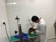 -圣宠动物医院·犬猫专科·影像中心·外科中心